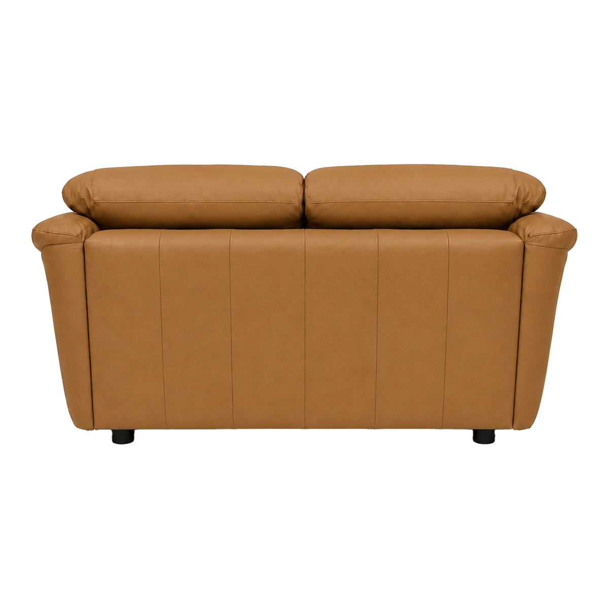 Lyons Leather Loveseat - Coja