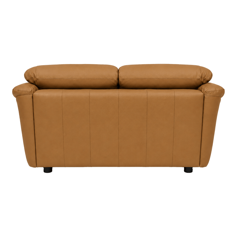 Lyons Leather Loveseat - Coja