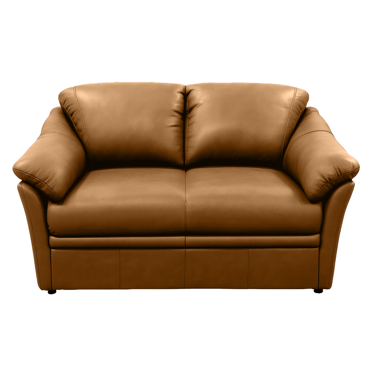 Lyons Leather Loveseat