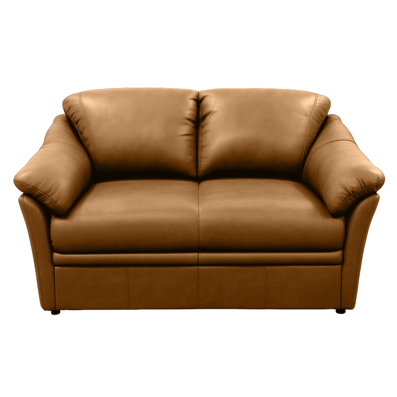 Benson Leather Loveseat