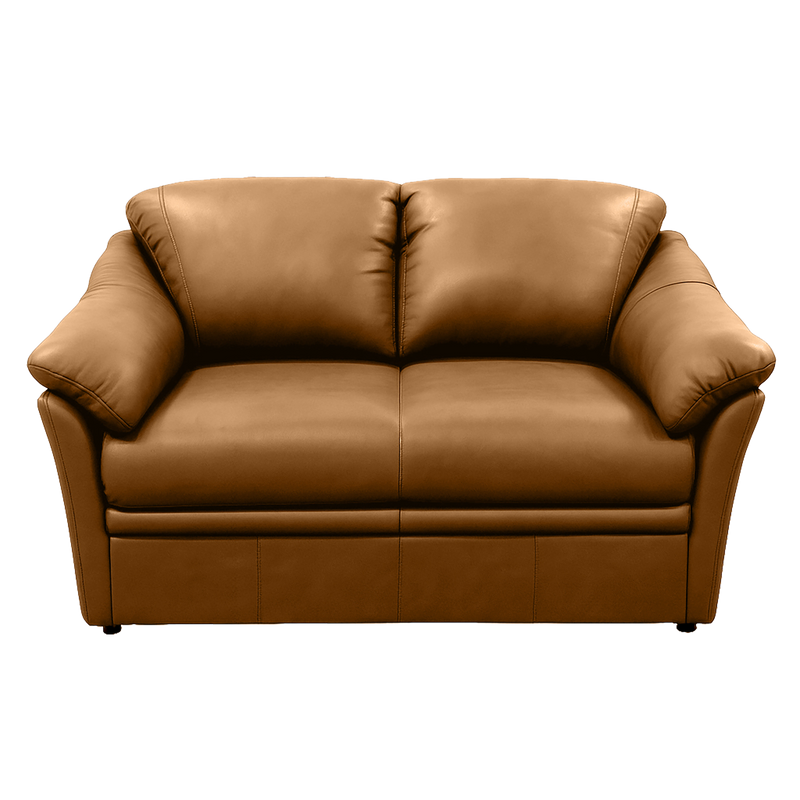 Lyons Leather Loveseat