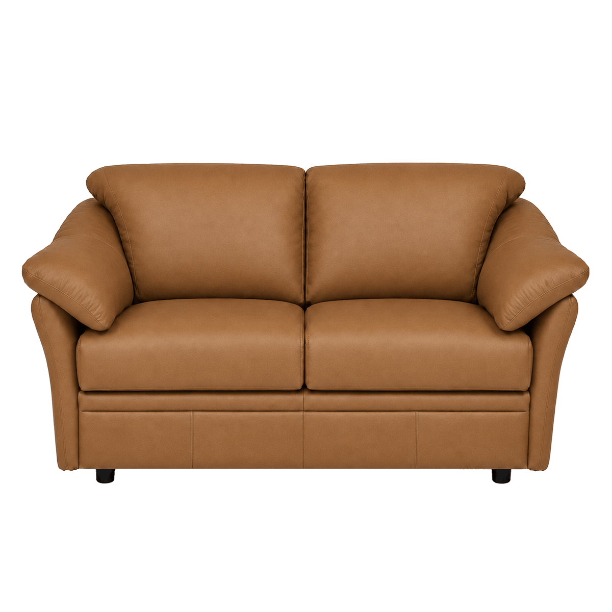 Lyons Leather Loveseat - Coja