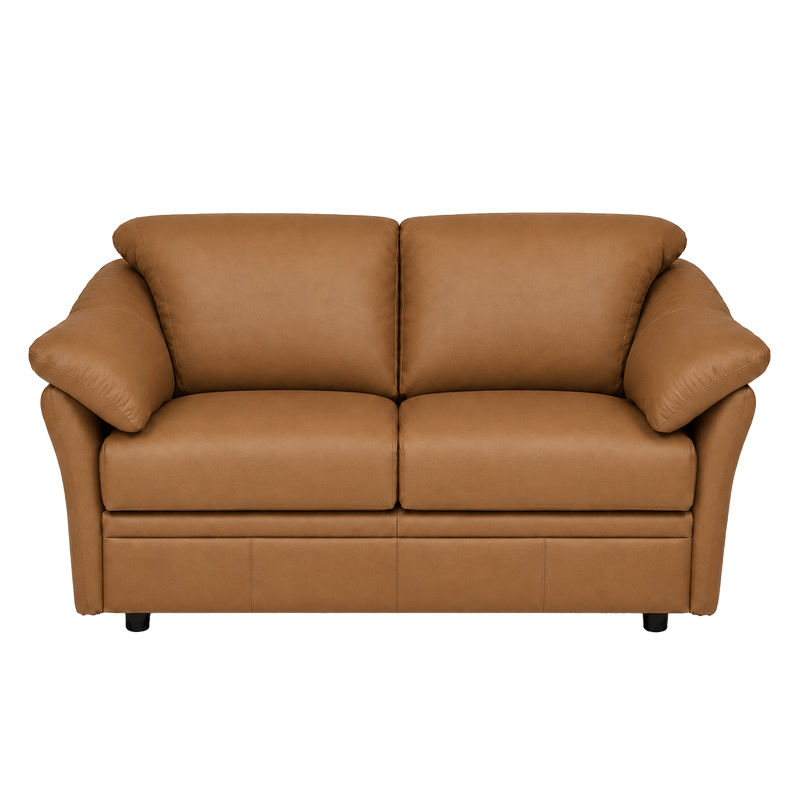 Lyons Leather Loveseat - Coja