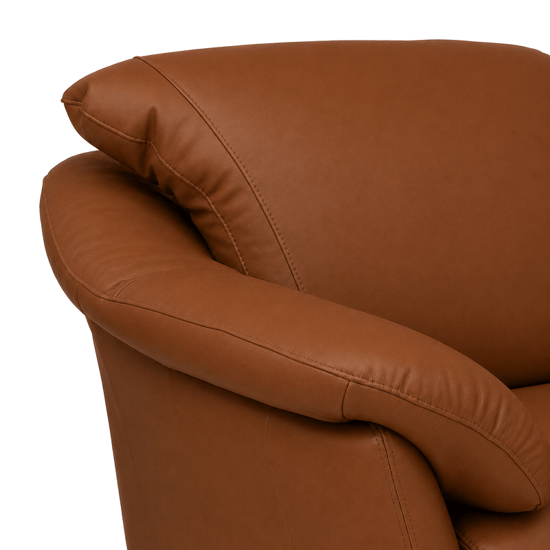 Lyons Leather Chair - Coja