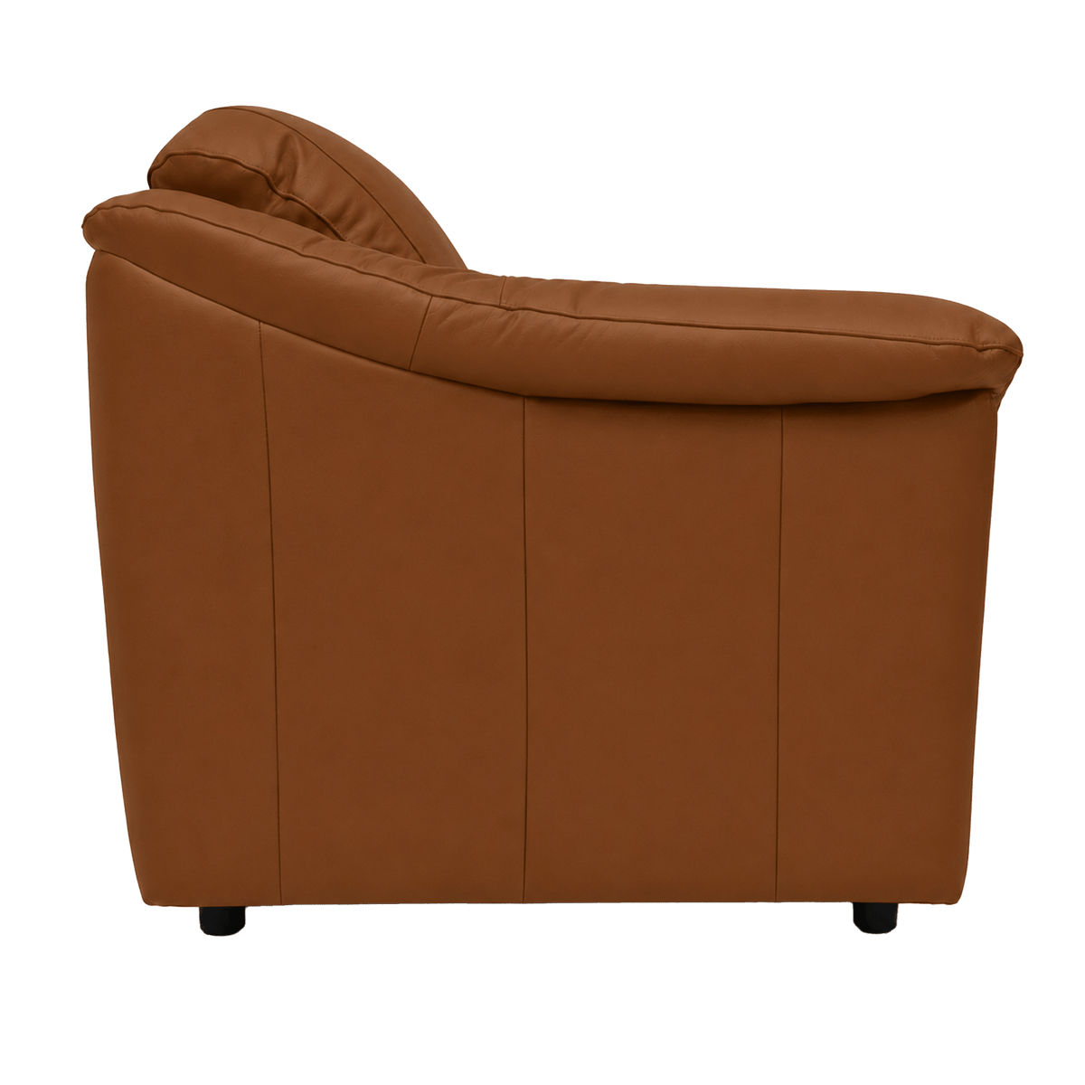 Lyons Leather Chair - Coja