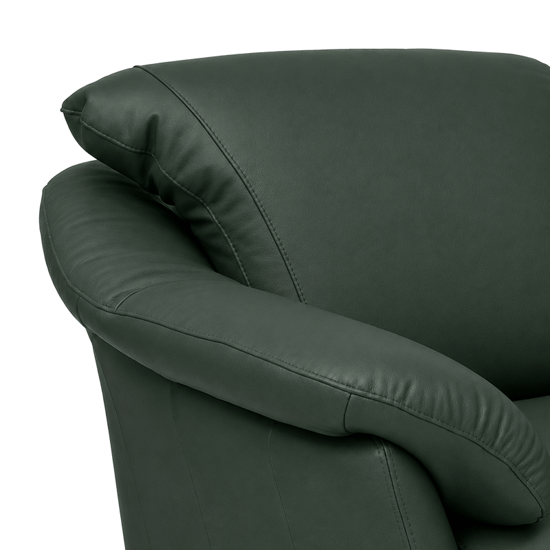Lyons Leather Chair - Coja