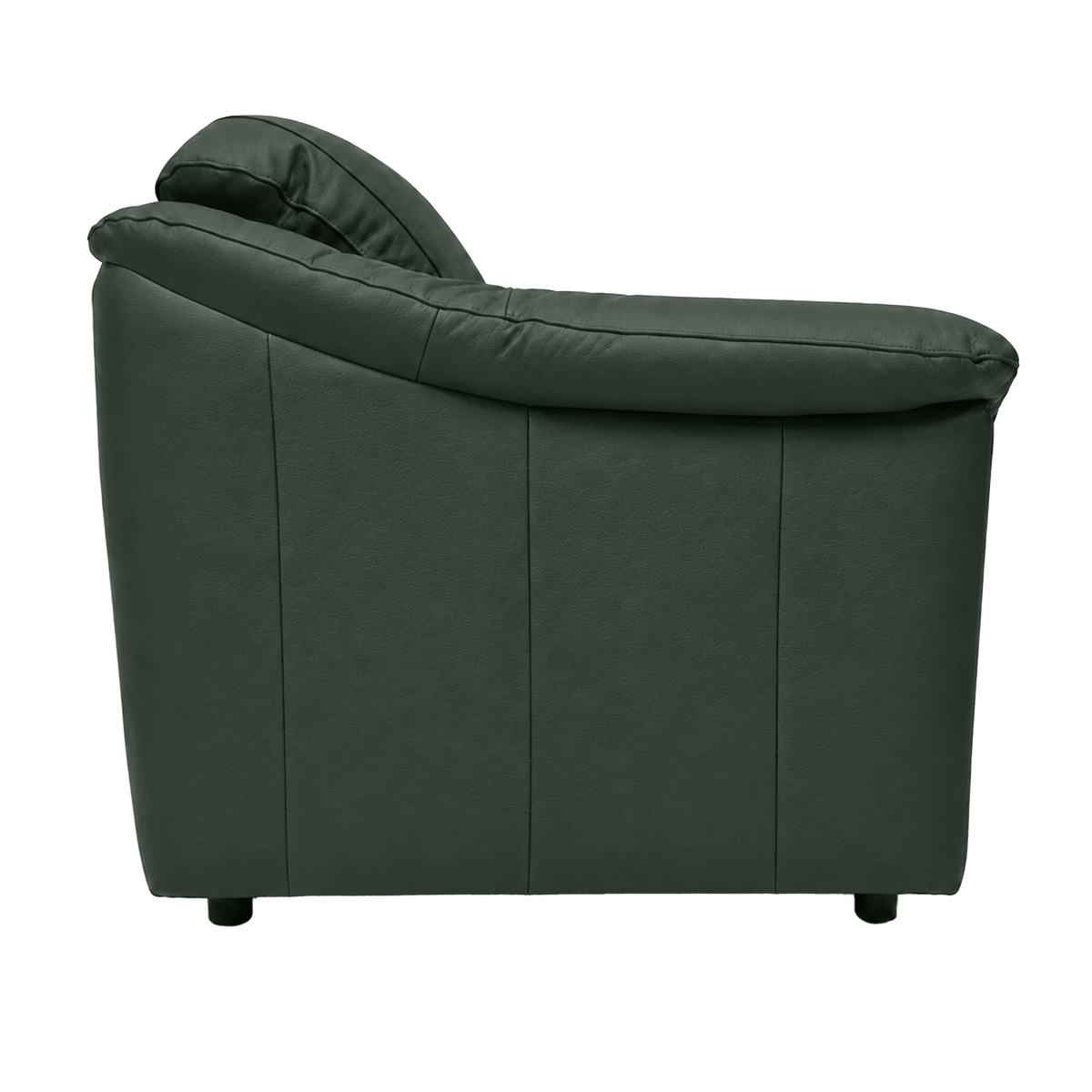 Lyons Leather Chair - Coja
