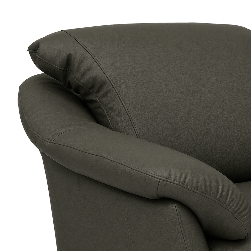 Lyons Leather Chair - Coja