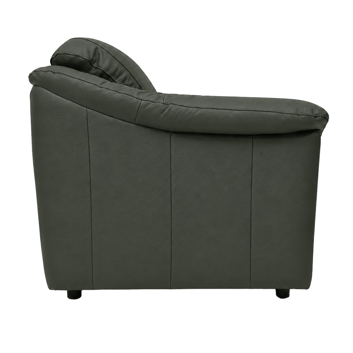 Lyons Leather Chair - Coja