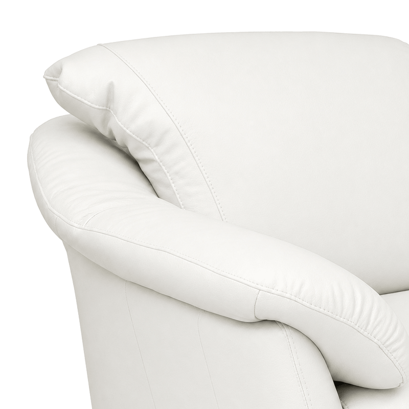 Lyons Leather Chair - Coja
