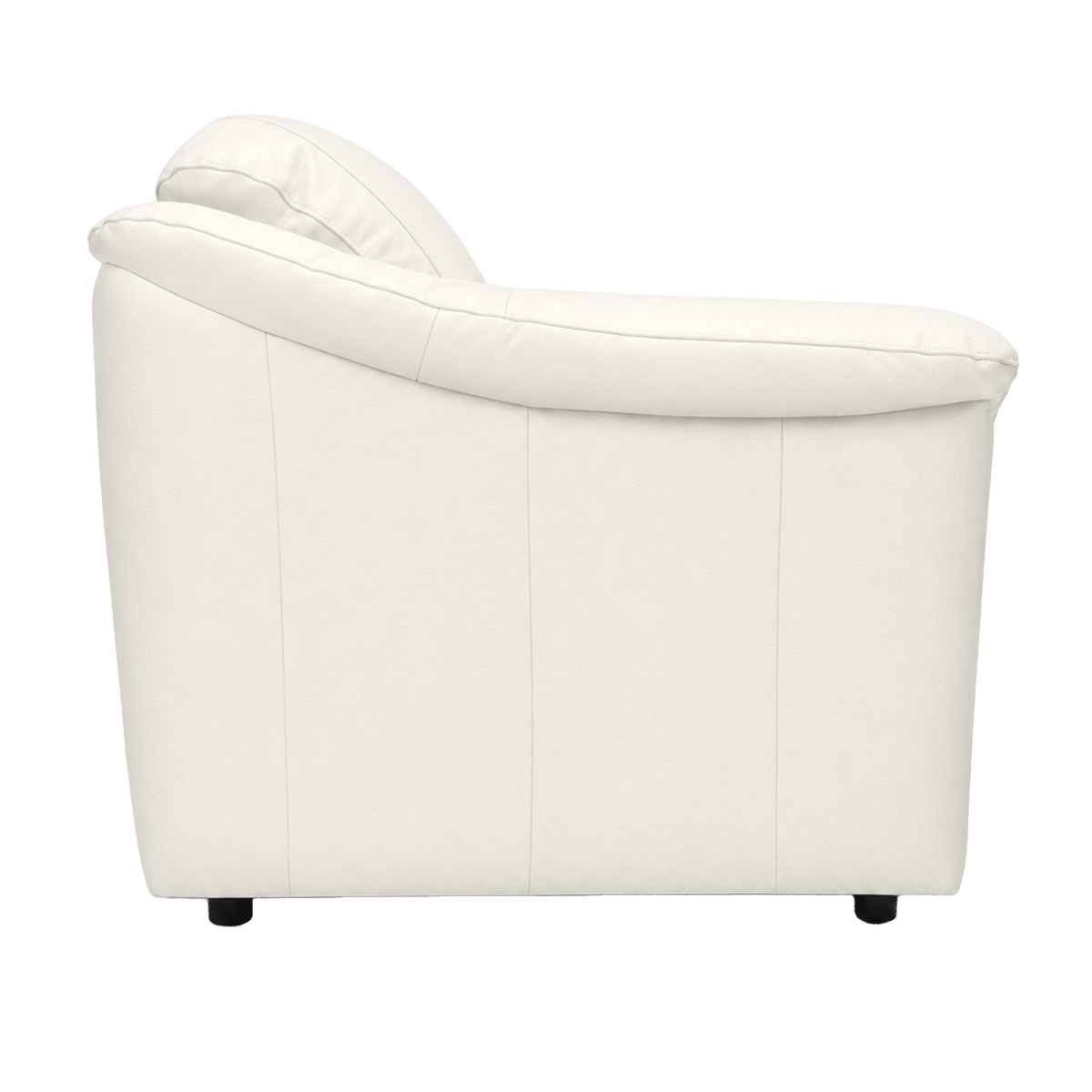 Lyons Leather Chair - Coja