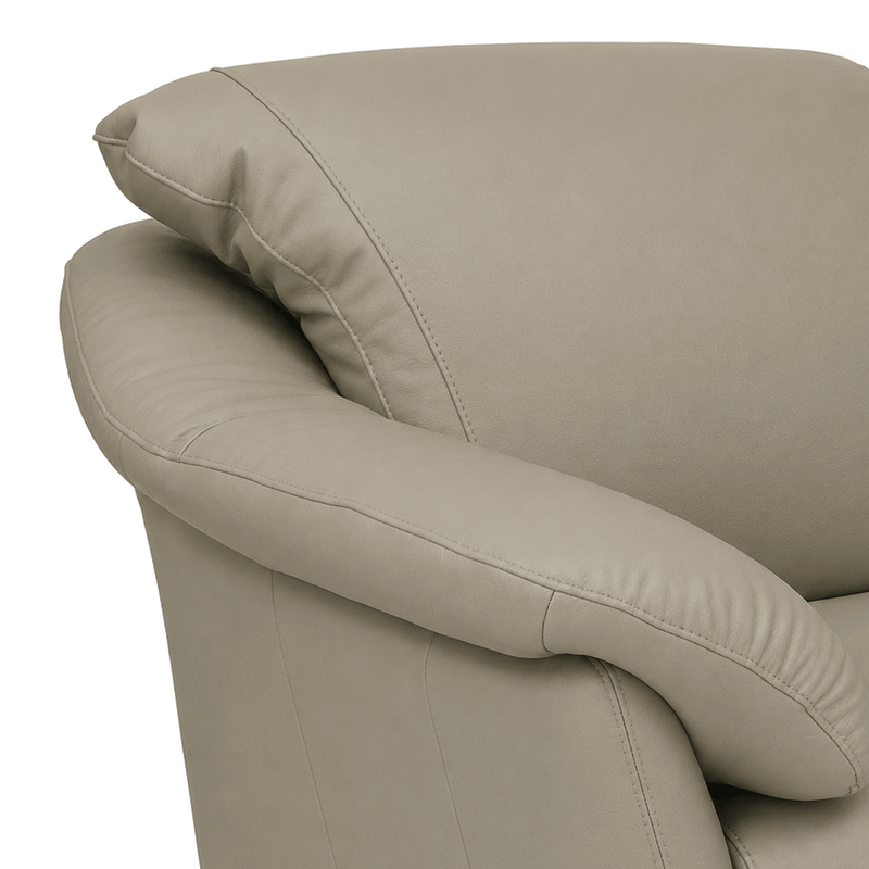 Lyons Leather Chair - Coja