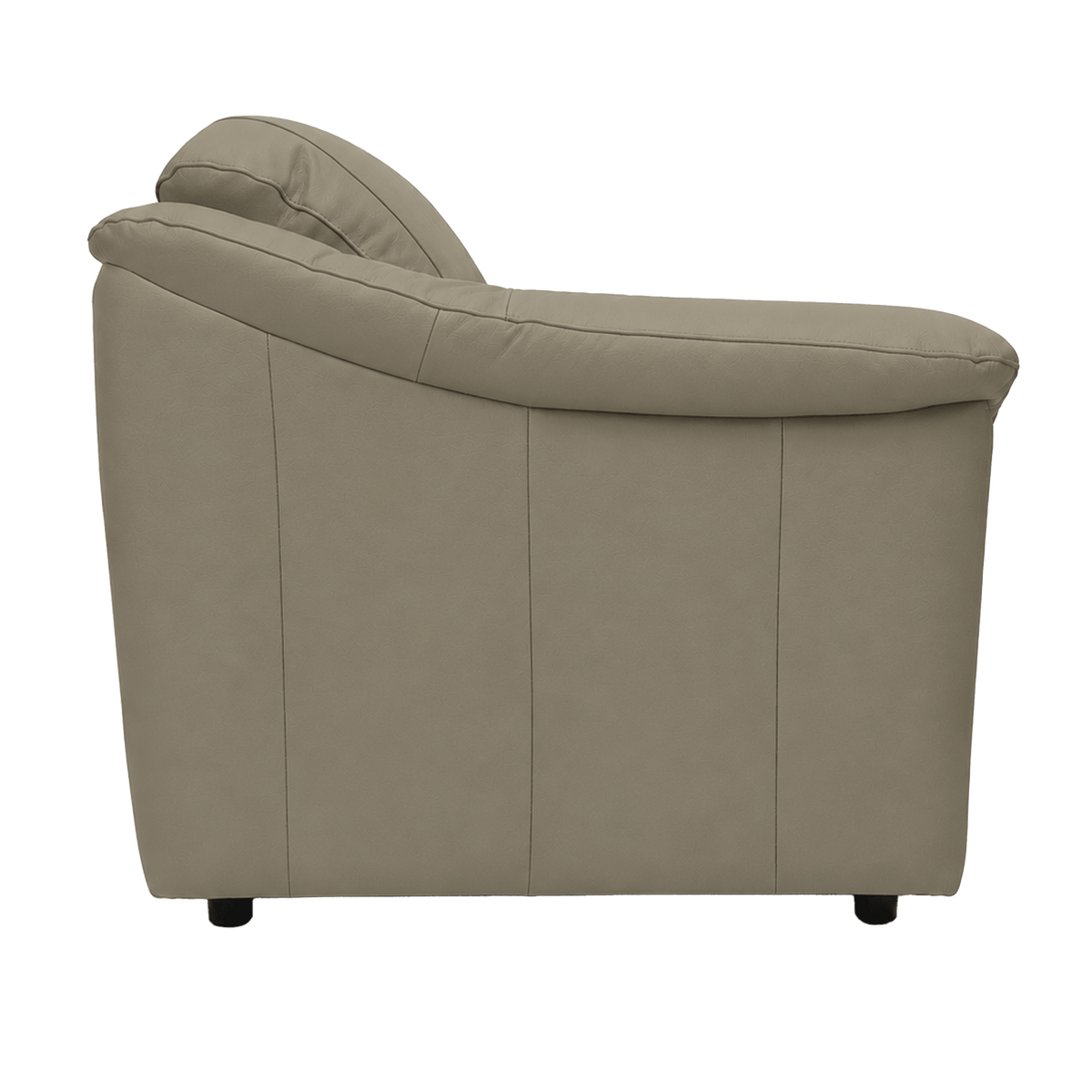Lyons Leather Chair - Coja