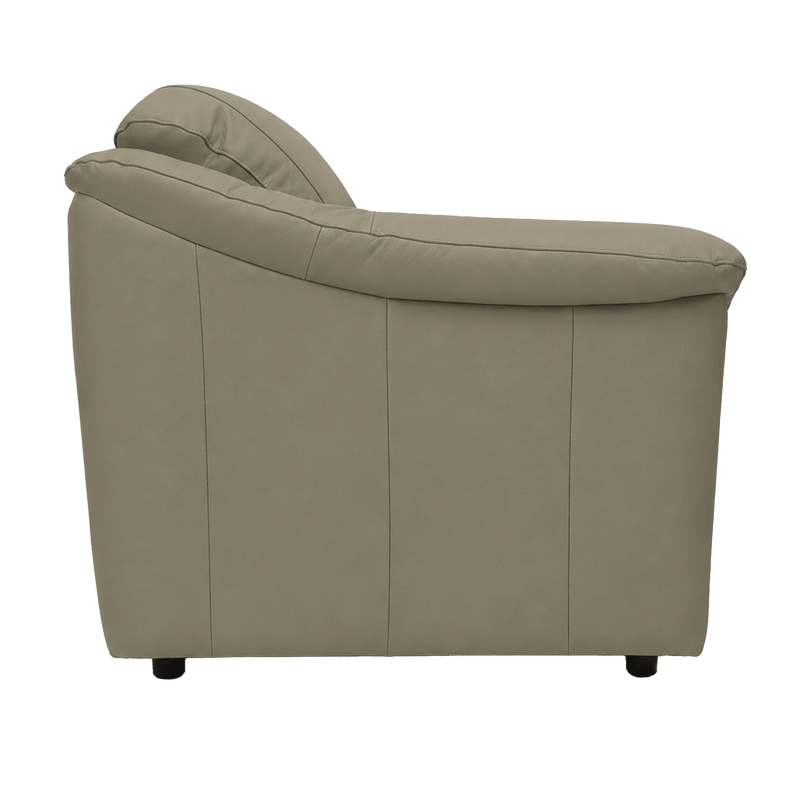 Lyons Leather Chair - Coja