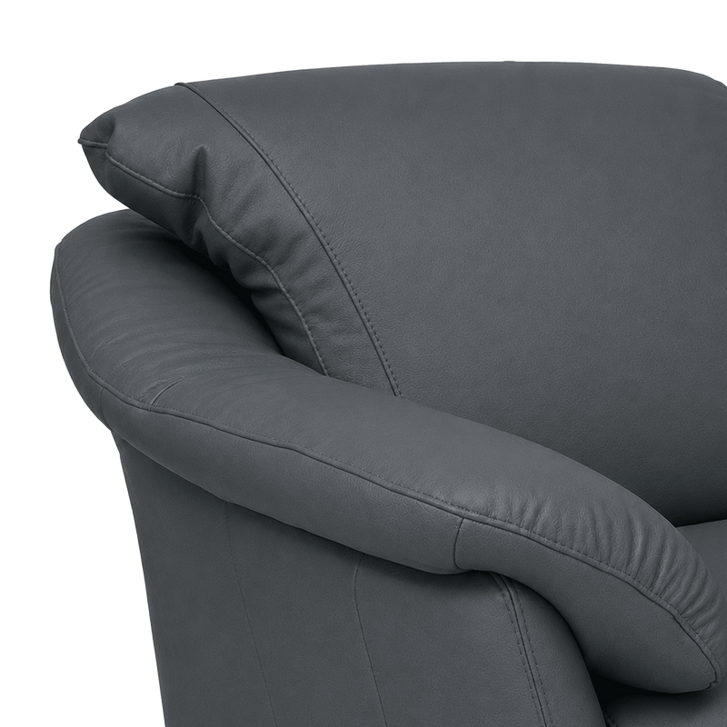 Lyons Leather Chair - Coja