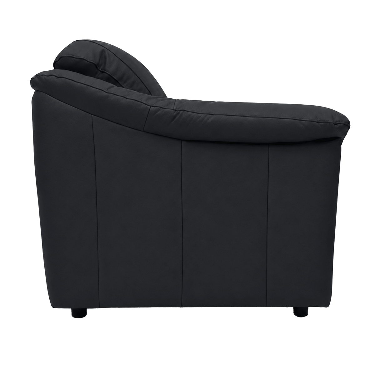 Lyons Leather Chair - Coja