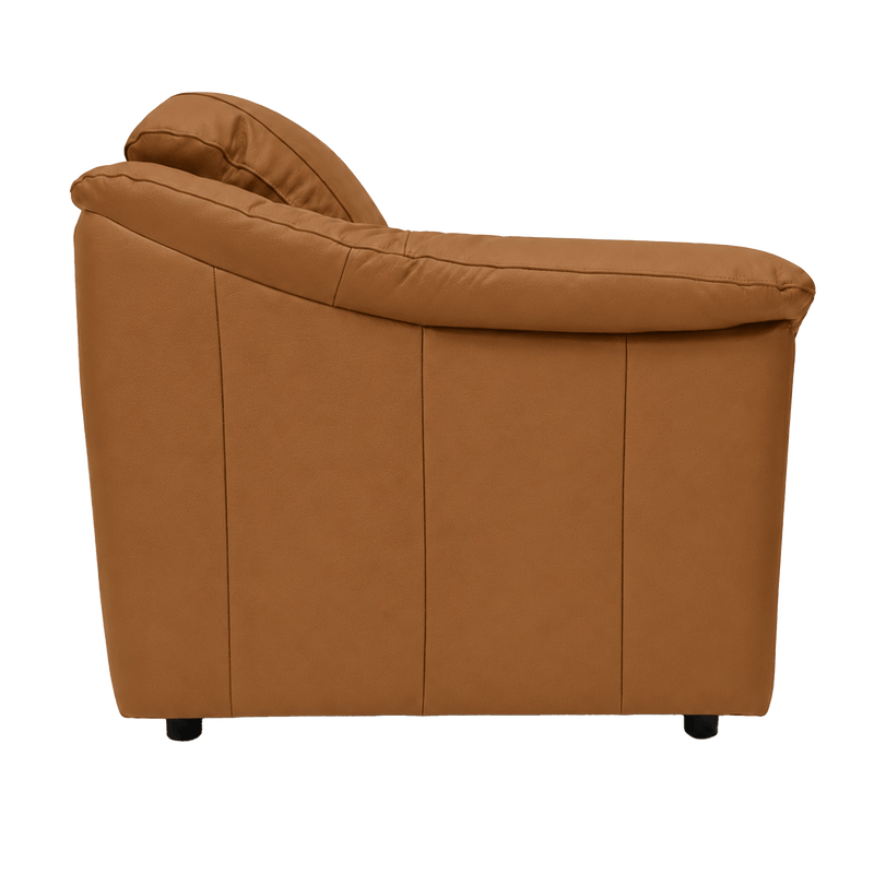 Lyons Leather Chair - Coja
