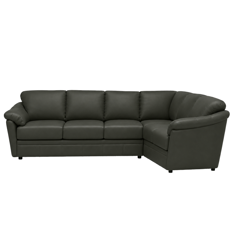 Lyons Leather Sectional Left Facing
