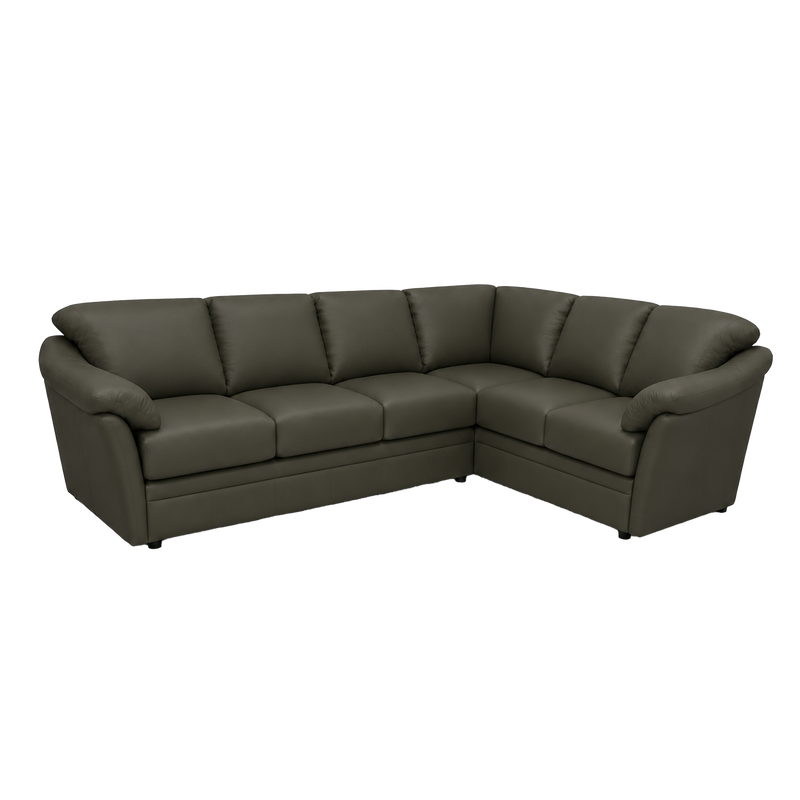Lyons Leather Sectional Left Facing