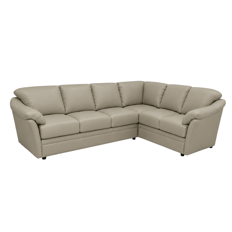 Lyons Leather Sectional Left Facing