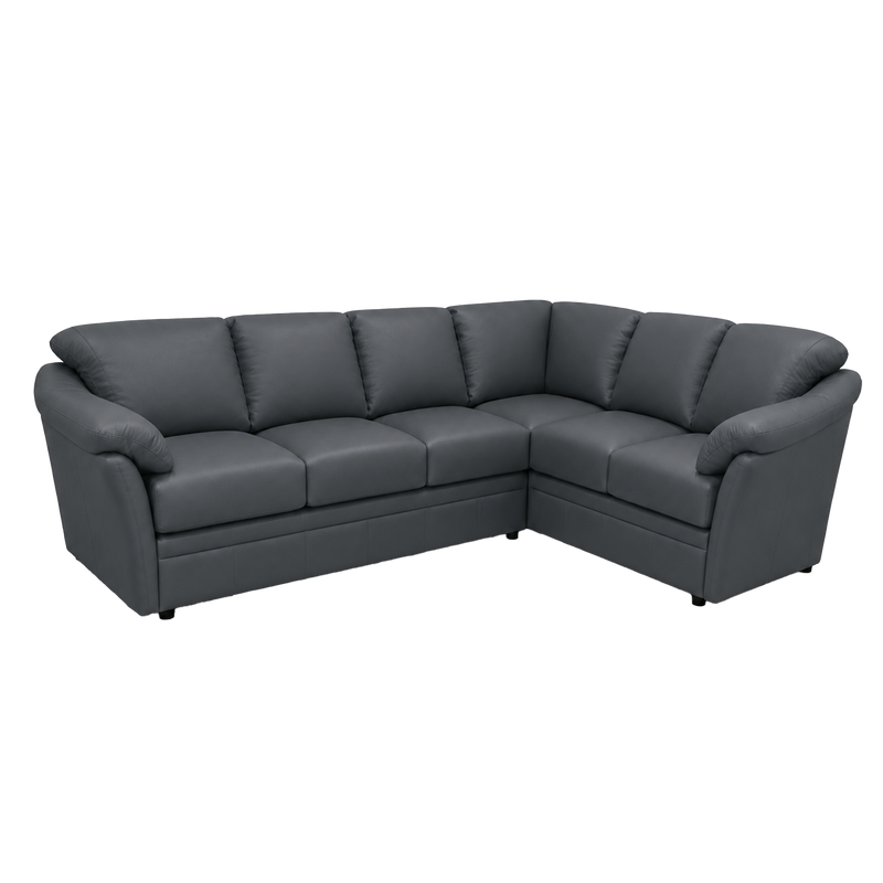 Lyons Leather Sectional Left Facing