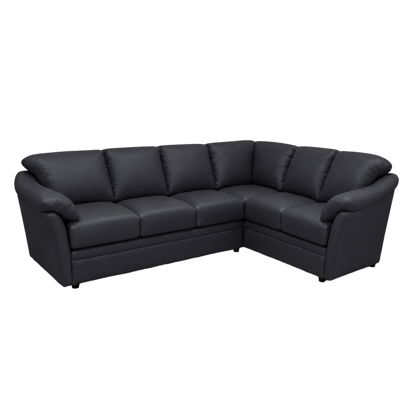 Lyons Leather Sectional Left Facing