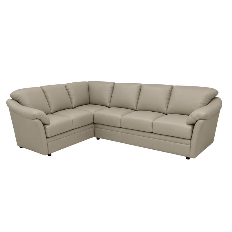 Lyons Leather Sectional Right Facing