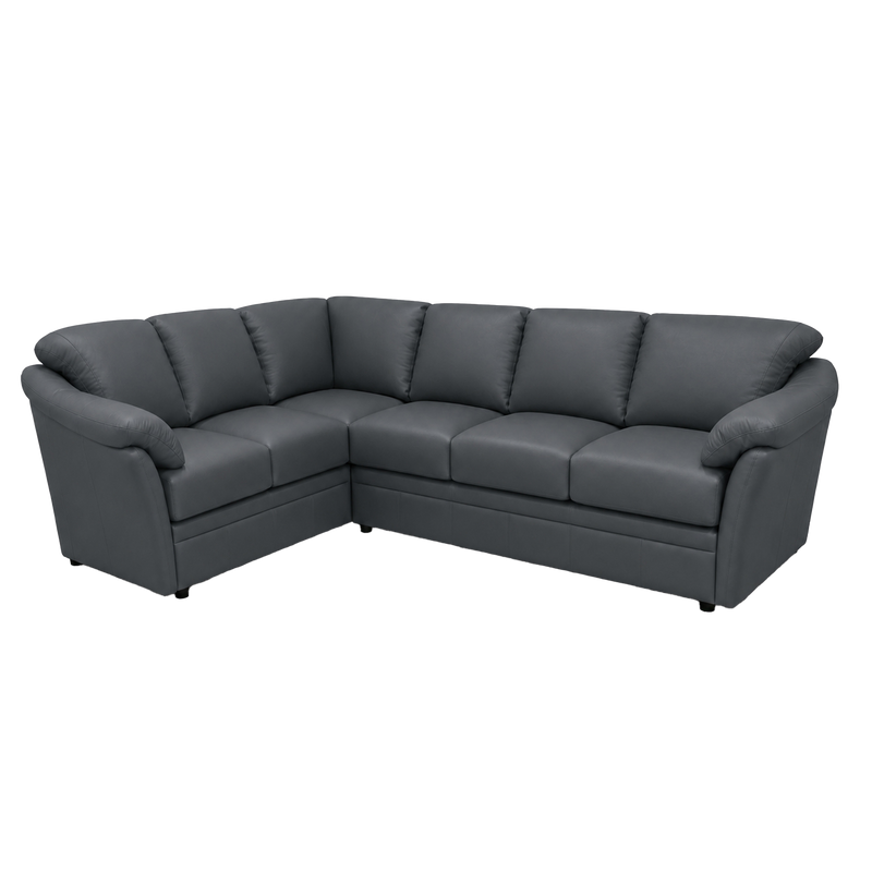 Lyons Leather Sectional Right Facing