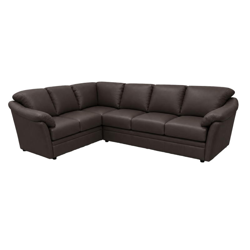 Lyons Leather Sectional Right Facing
