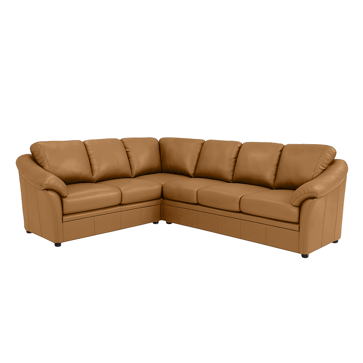 Lyons Leather Sectional Right Facing