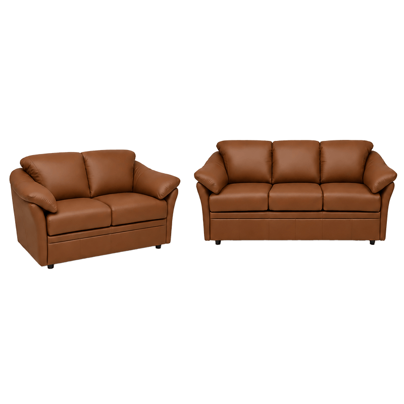 Lyons Leather Sofa & Loveseat Set - Coja