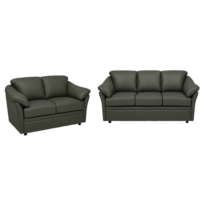 Lyons Leather Sofa & Loveseat Set - Coja