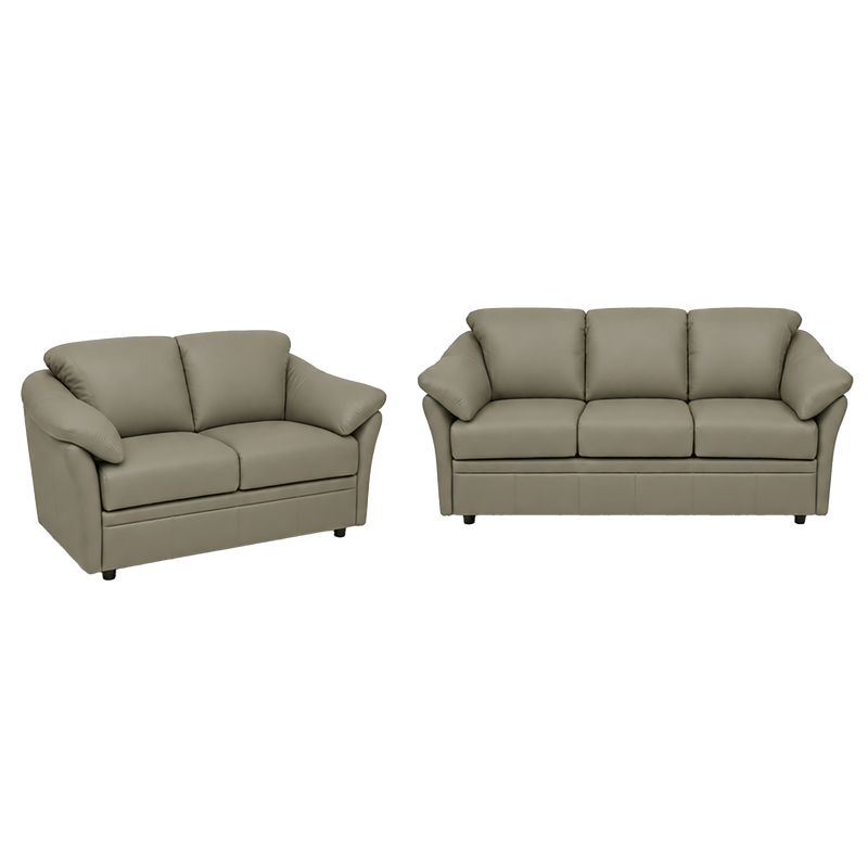 Lyons Leather Sofa & Loveseat Set - Coja