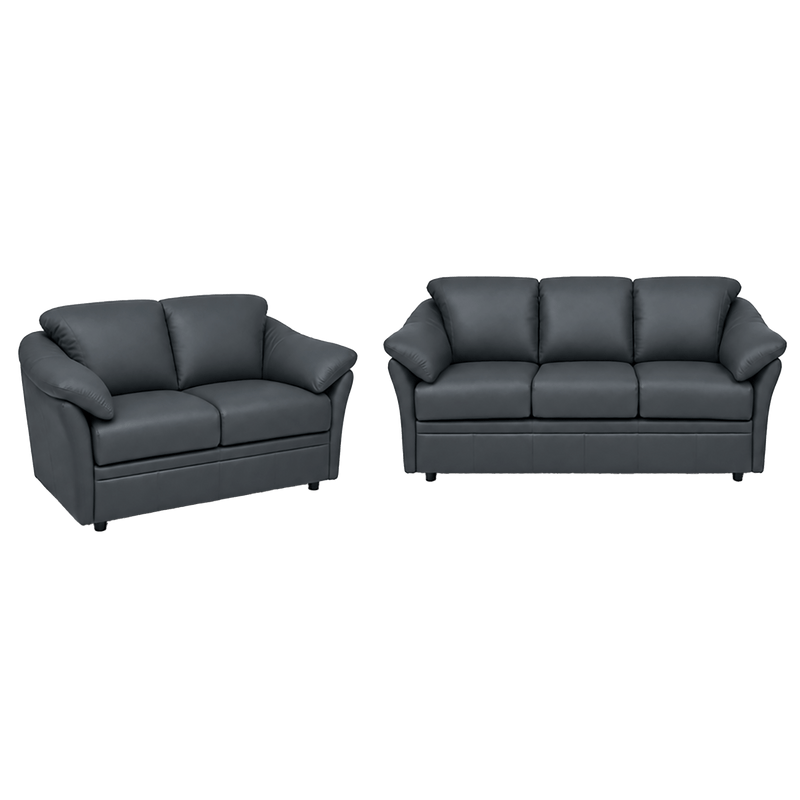 Lyons Leather Sofa & Loveseat Set - Coja