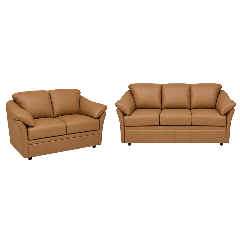 Lyons Leather Sofa & Loveseat Set - Coja