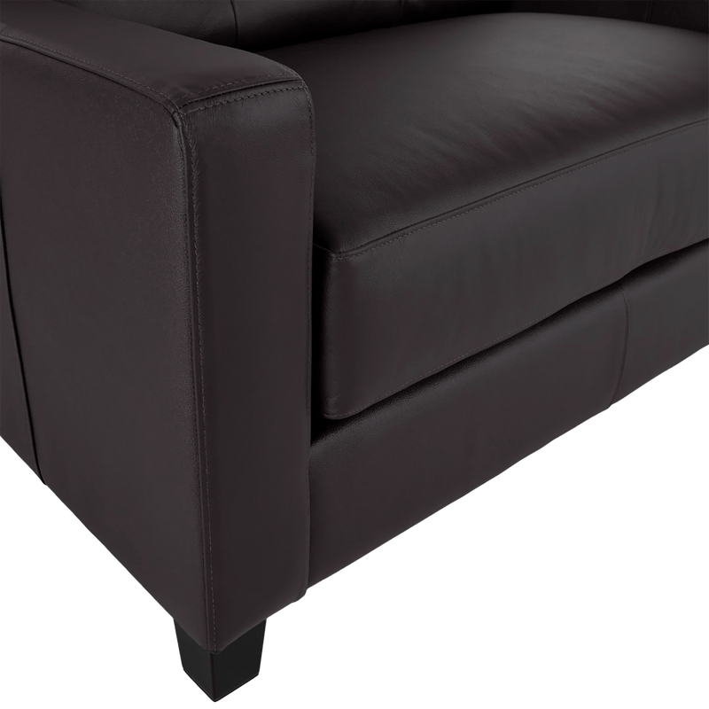 Macon Contemporary Track Arm Leather Loveseat, Dark Brown - Coja