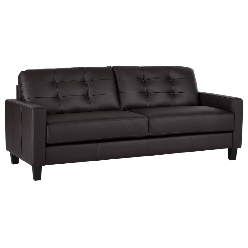 Macon Contemporary Track Arm Leather Sofa and Loveseat Set, Dark Brown - Coja