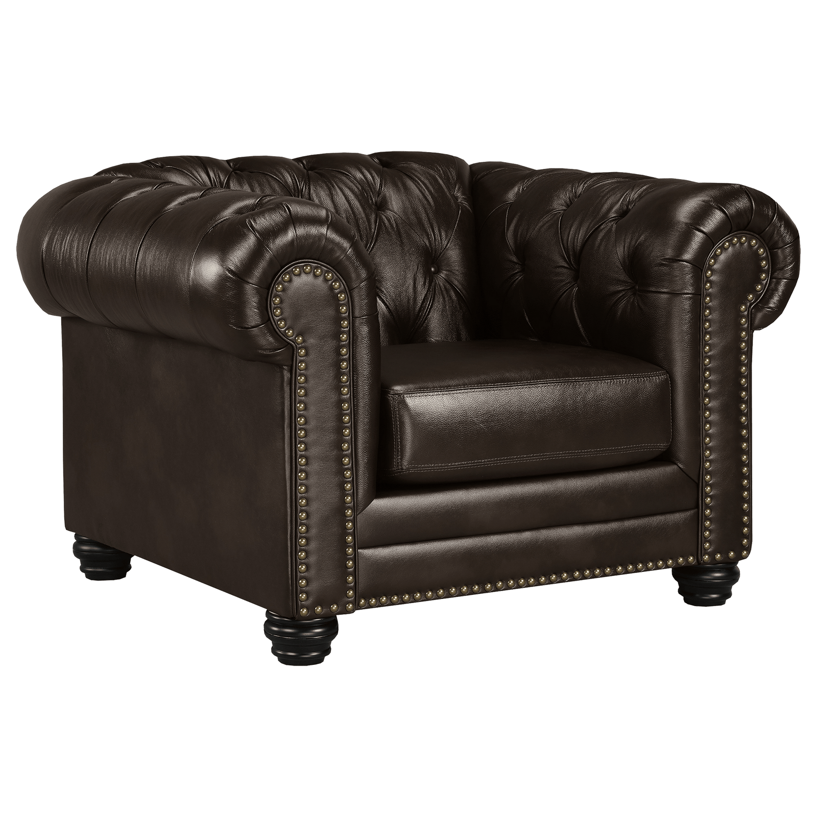 Maryport Top Grain Leather Chair - Coja