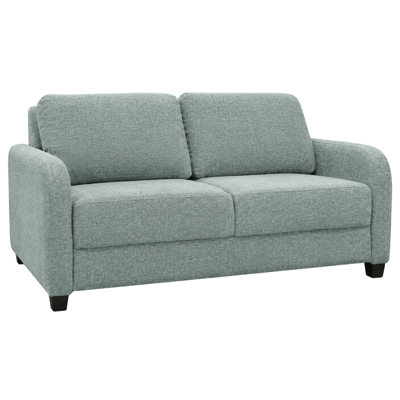 Sete Queen Sleeper Sofa | Premium Comfort & Easy-Open Design - Coja